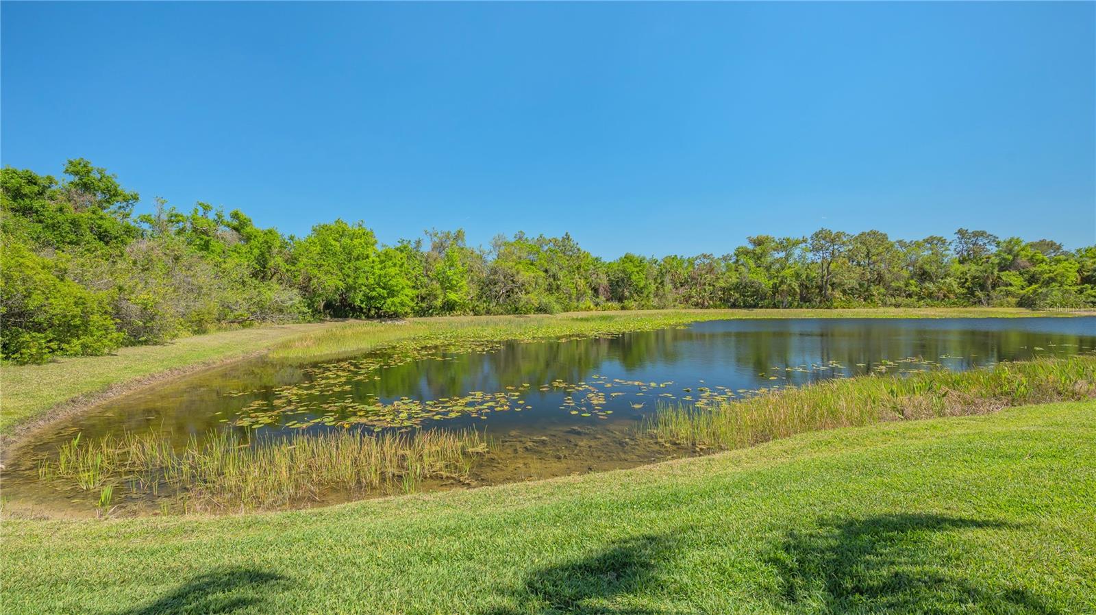 UNIVERSITY PLACE - Residential