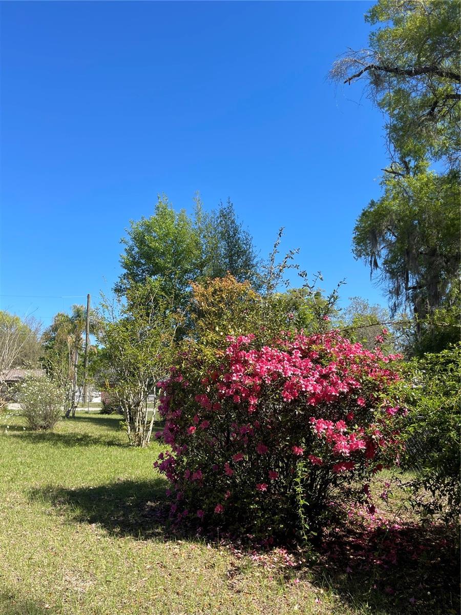 ROSEDALE BLK 125 DELAND - Residential