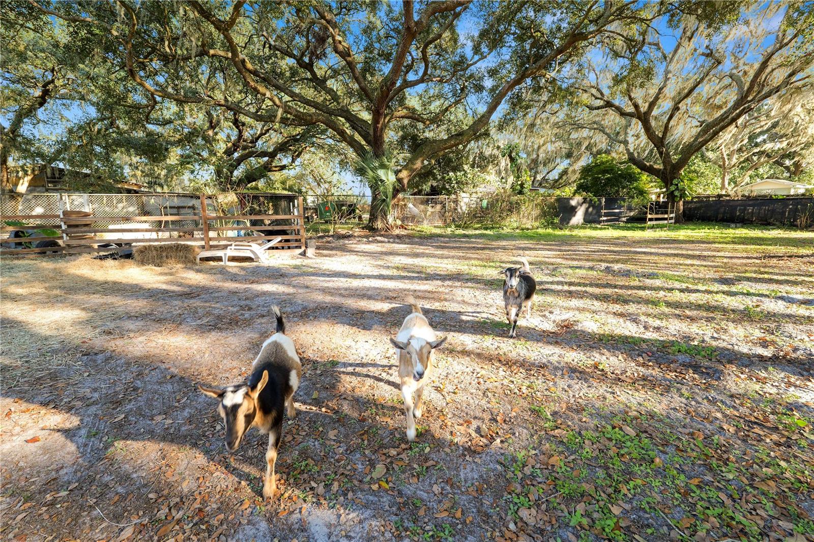 NOT IN SUBDIVISION - Residential