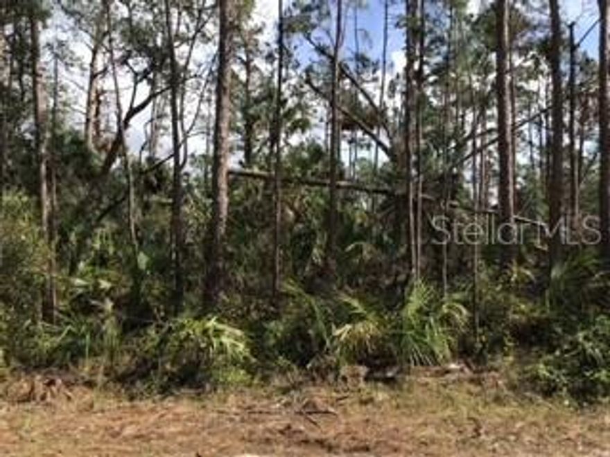 Buildable lot in up and coming North Port. North Port is a growing community with the Tampa Bay Rays Stadium minutes away in Port Charlotte or the Atlanta Braves training Stadium right here in North Port. You will be close to shopping, hospital, North Port ER, schools and parks. This lot could be the perfect place for your dream home.