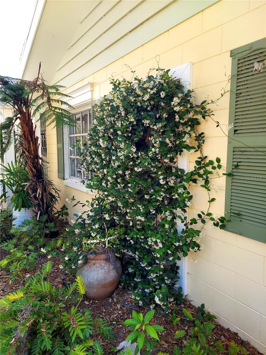 MOUNT DORA PINE CREST UNREC - Residential