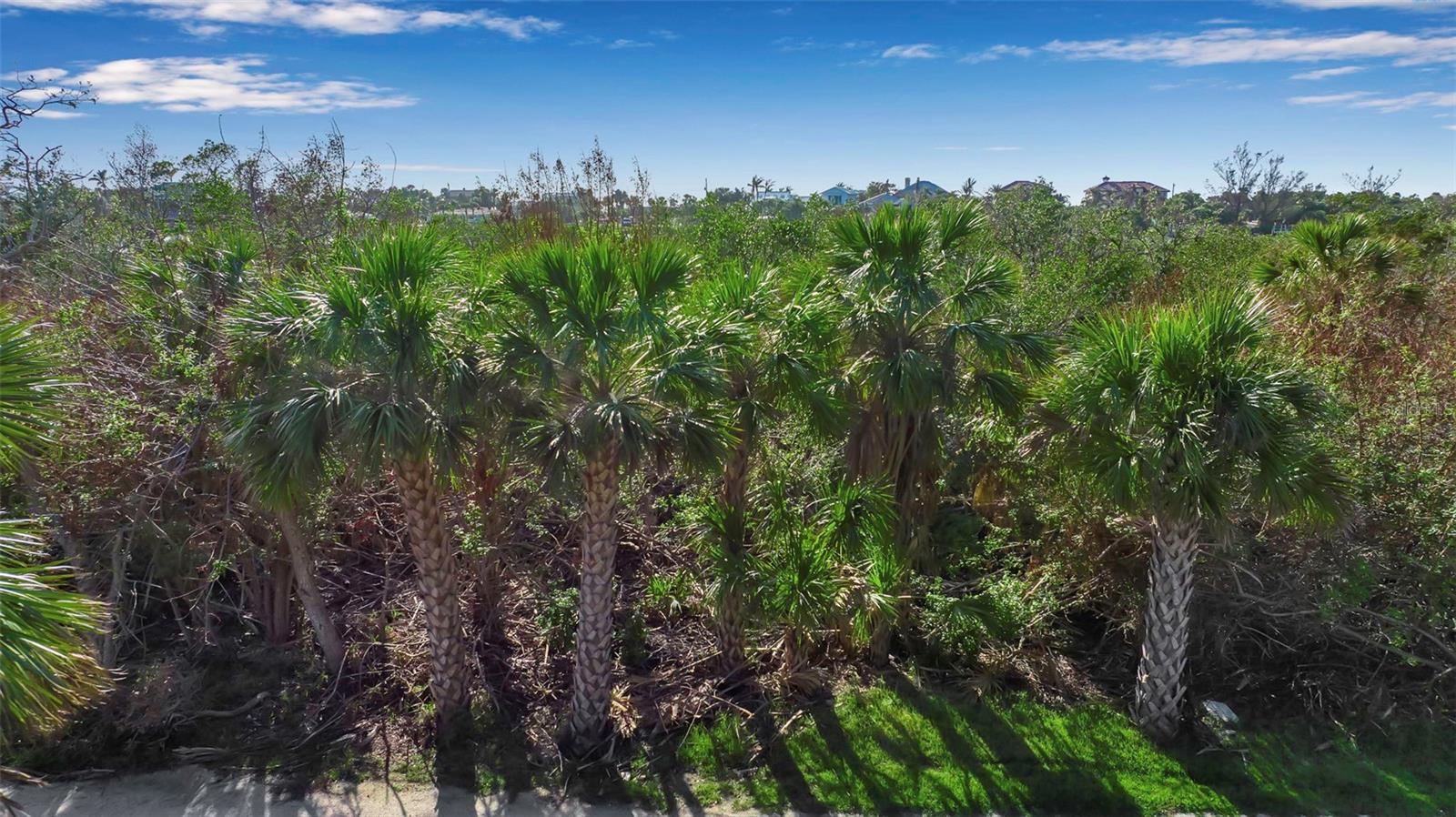 MANASOTA LAND & TIMBER CO - Land