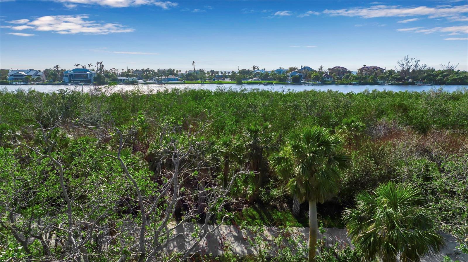 MANASOTA LAND & TIMBER CO - Land
