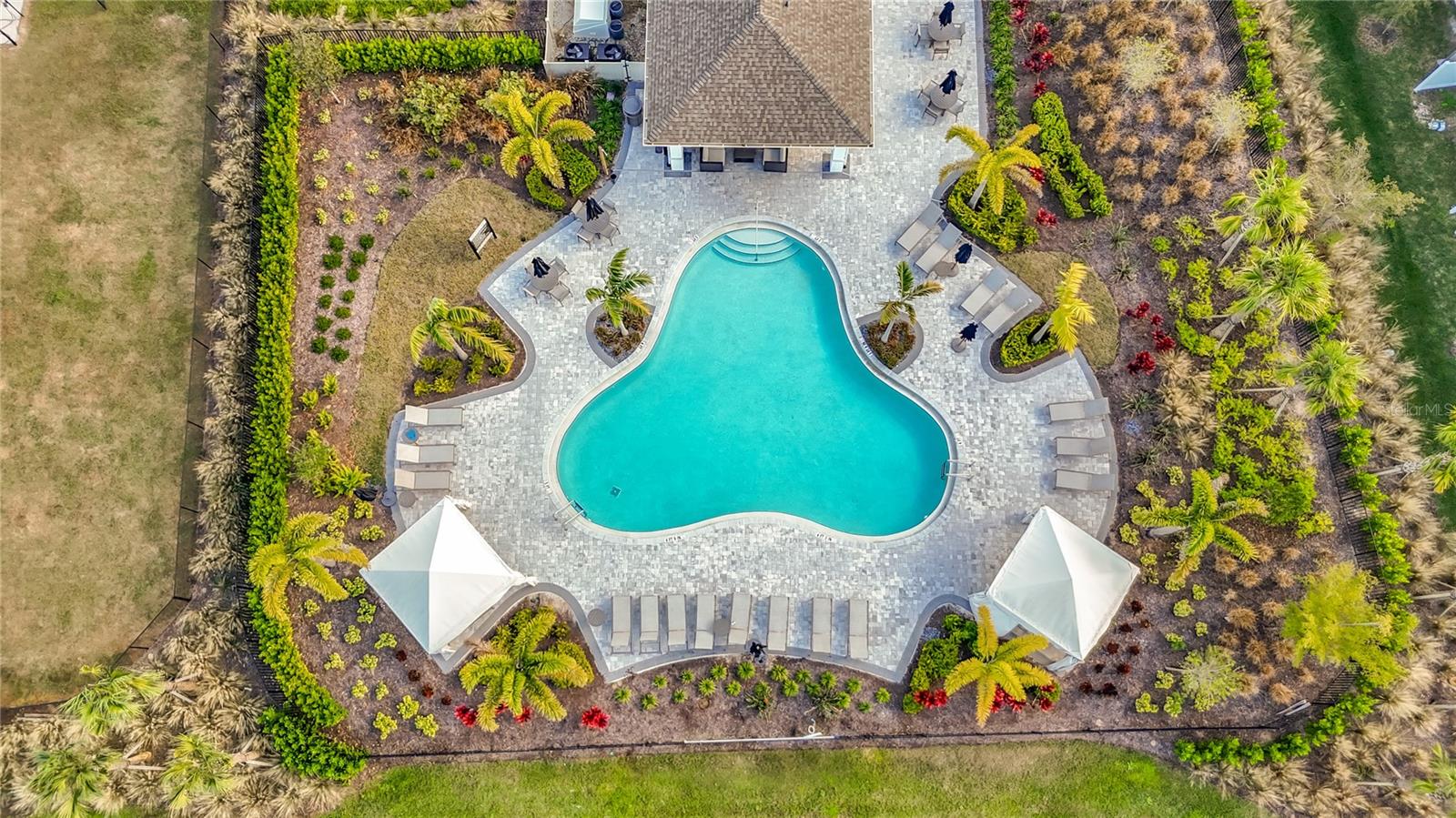 TWNHMS/AZARIO - Residential Lease