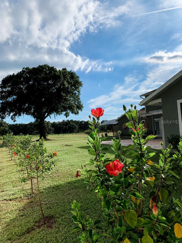 UNPLATTED - Residential