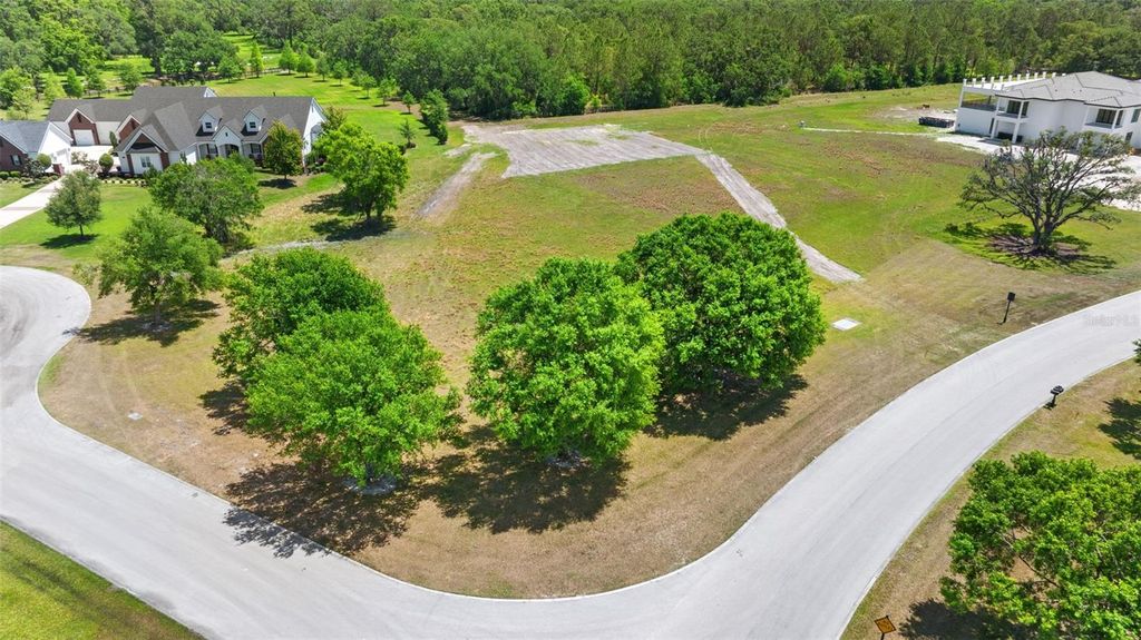 Photo of 154 Stonelake Ranch Blvd, Thonotosassa, FL 33592 (MLS # TB8374285)