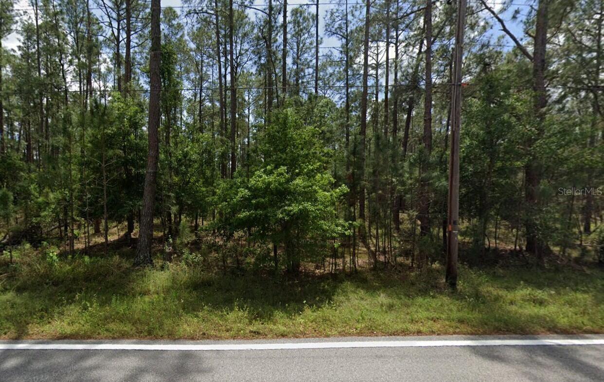 POYNER OAKS ROAD N