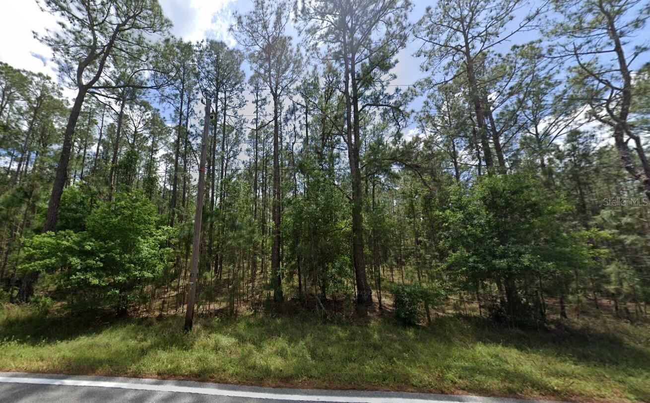 POYNER OAKS ROAD N