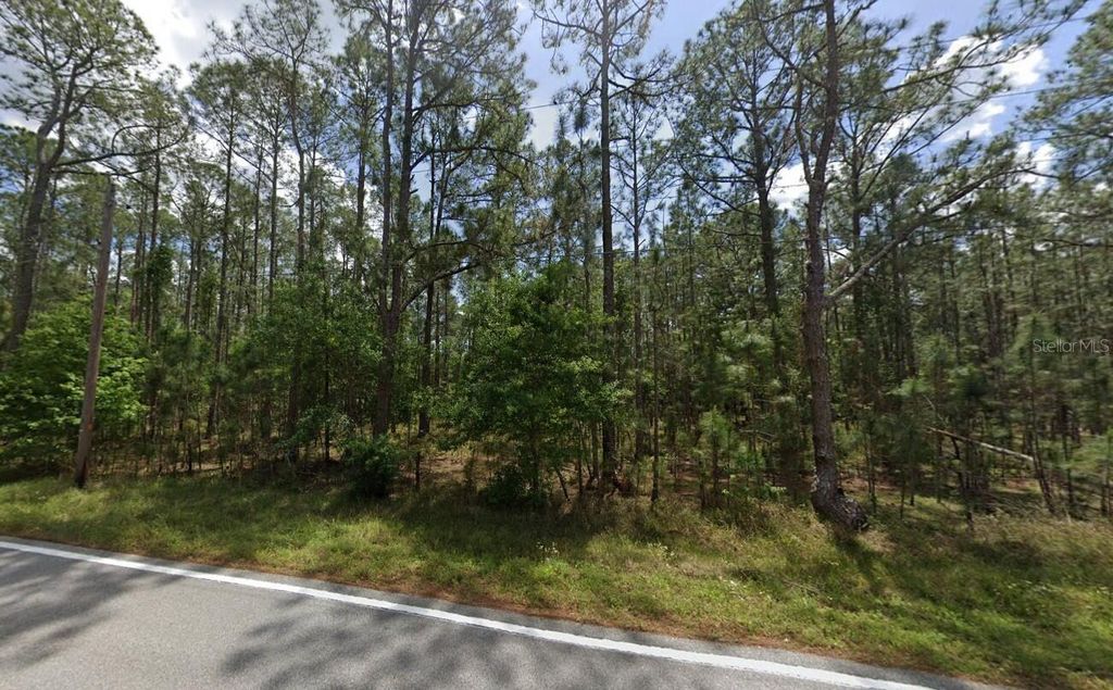 Photo of Poyner Oaks Road N, Polk City, FL 33868 (MLS # O6391490)