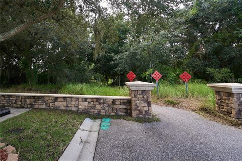 A home in LITHIA