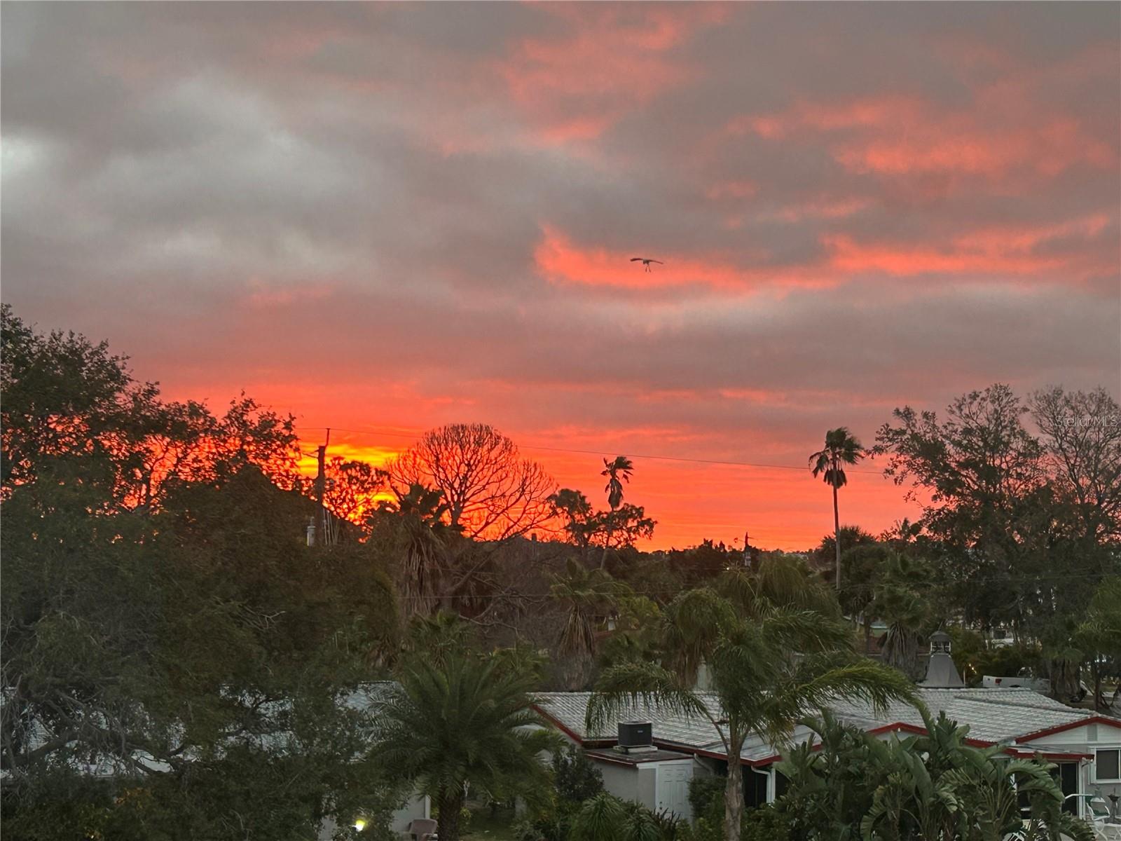 SAND PEBBLE POINTE CONDO 01 AMD 02 - Residential