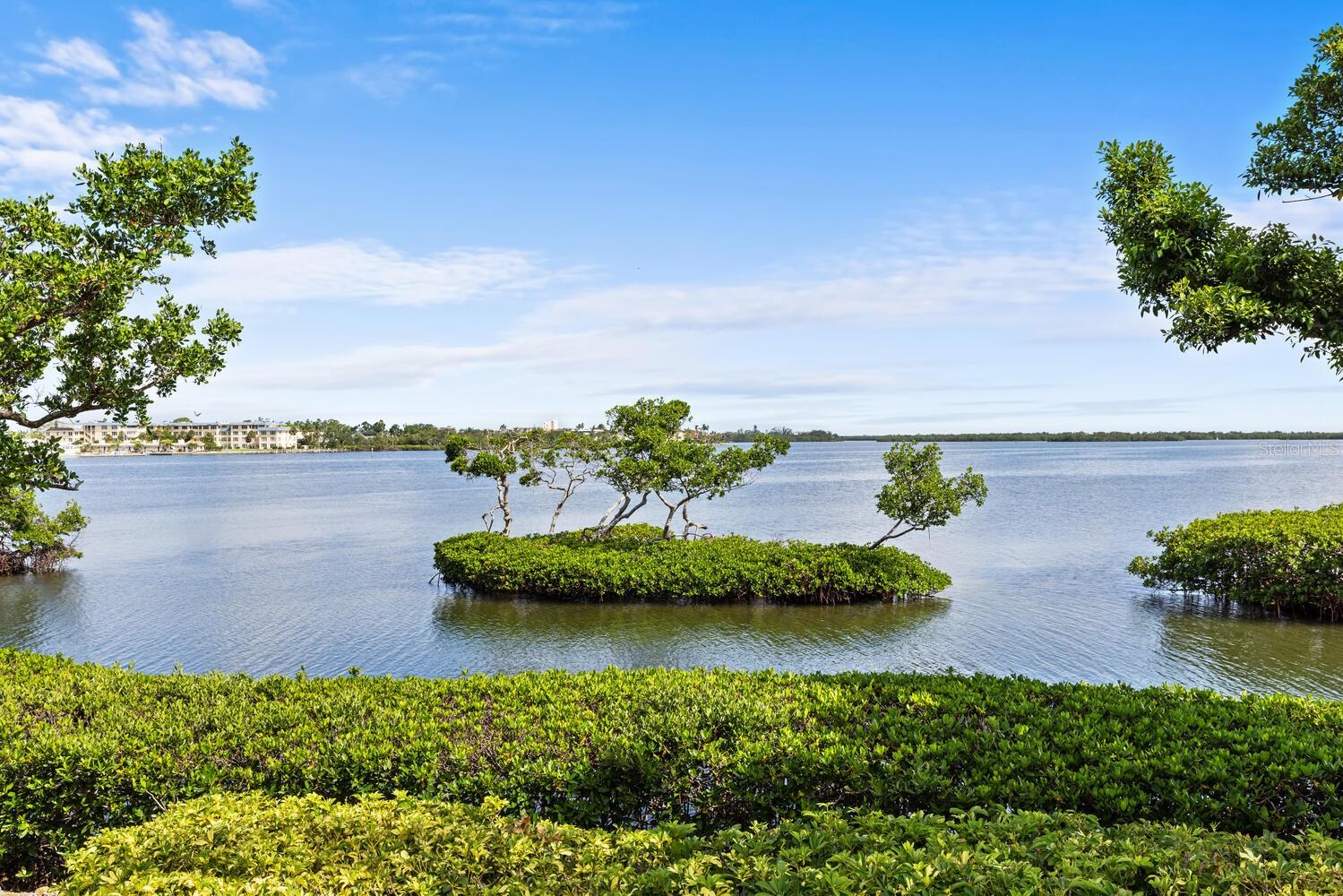 QUEENS HARBOUR - Residential