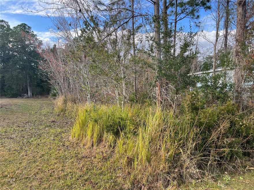 Vacant lot in beautiful Poinciana! This is a great opportunity to build your dream home in a growing community or secure a solid investment property for the future. Conveniently located just minutes away from shopping centers, schools, and hospitals. Don’t miss out on this prime lot in a rapidly developing area!
