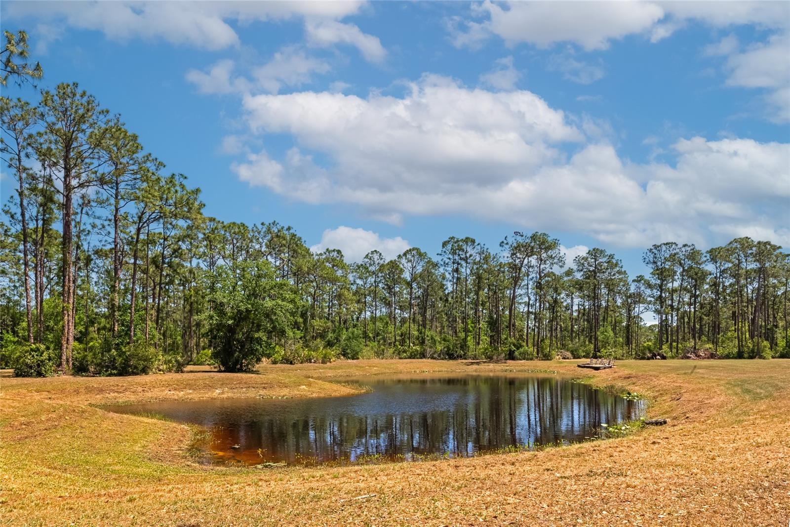 PANTHER RIDGE - Residential Lease