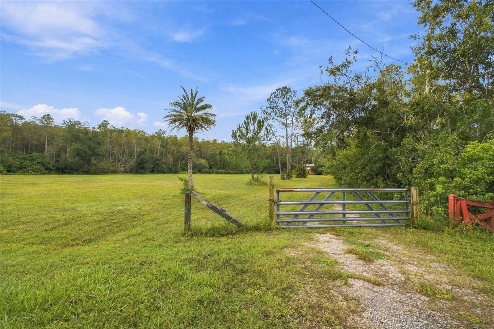 19135 N DALE MABRY HIGHWAY
