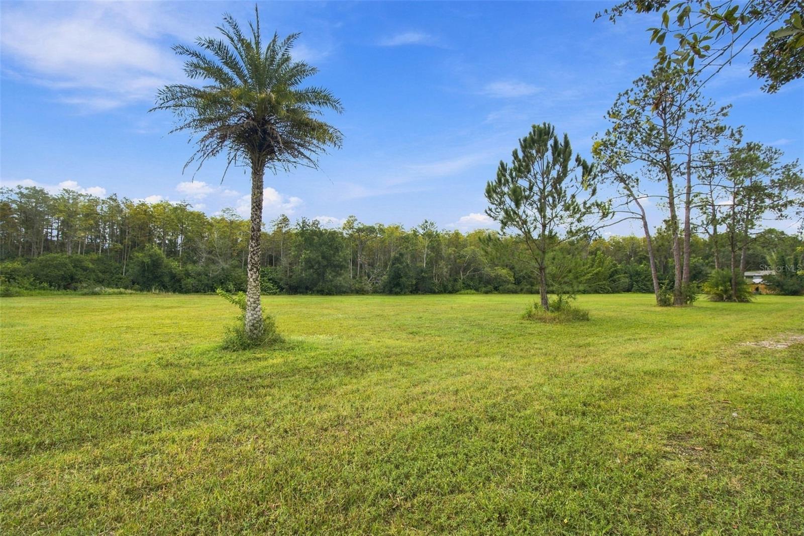19135 N DALE MABRY HIGHWAY