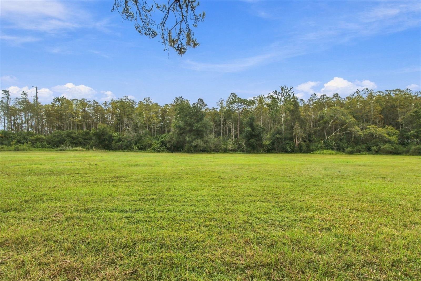 19135 N DALE MABRY HIGHWAY