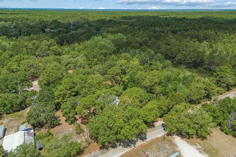 Tiny photo for 11274 S Riviera Drive, Homosassa, FL 34448 (MLS # TB8506766)