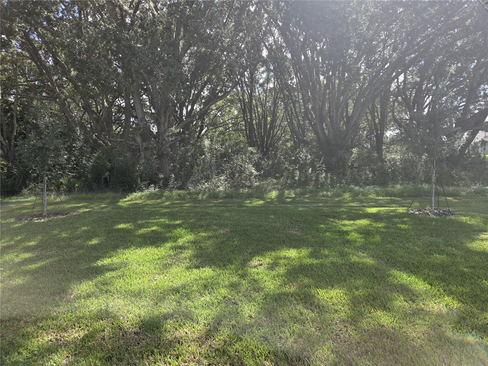 2404 DAWSON COURT
