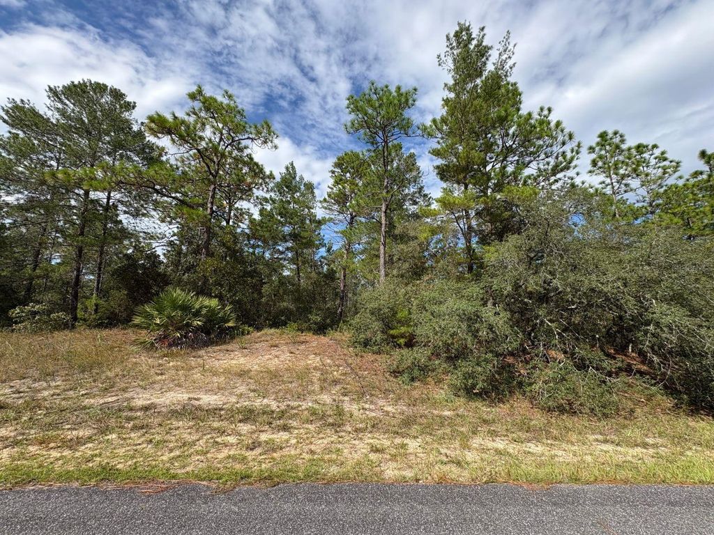 Photo of 4422 W Banner Circle, Dunnellon, FL 34433 (MLS # OM710823)