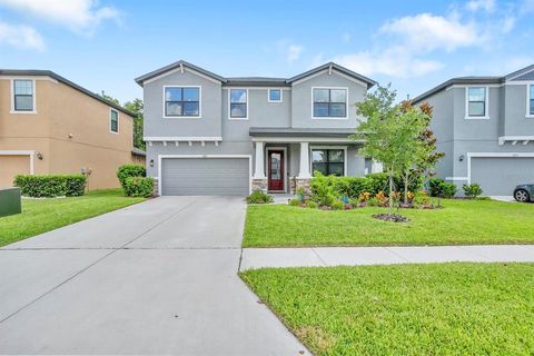 A home in LAND O LAKES