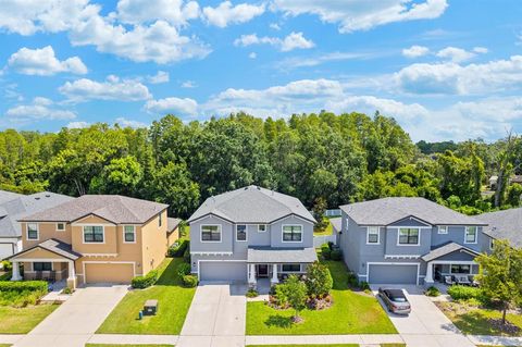 A home in LAND O LAKES