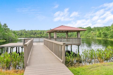 A home in LAND O LAKES