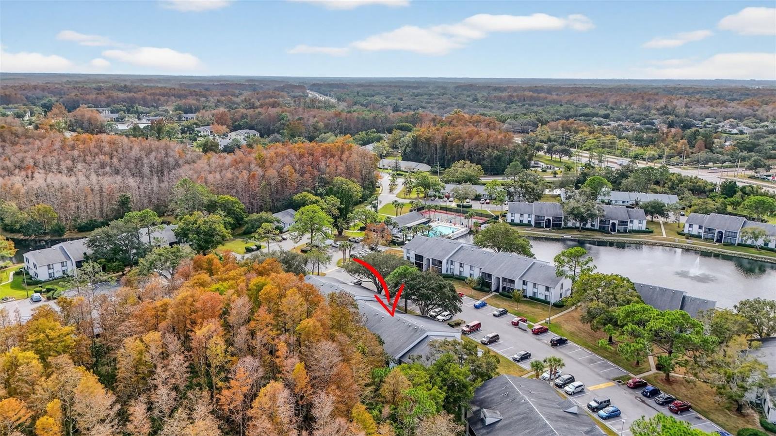 PINE RIDGE AT LAKE TARPON VILLAGE - Residential