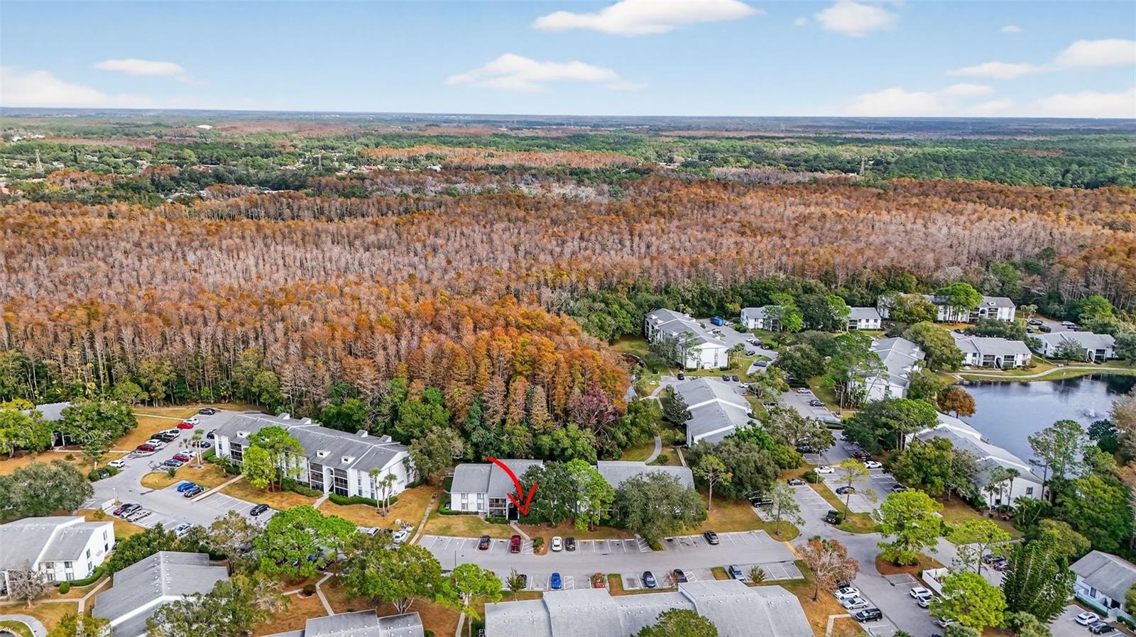 PINE RIDGE AT LAKE TARPON VILLAGE - Residential