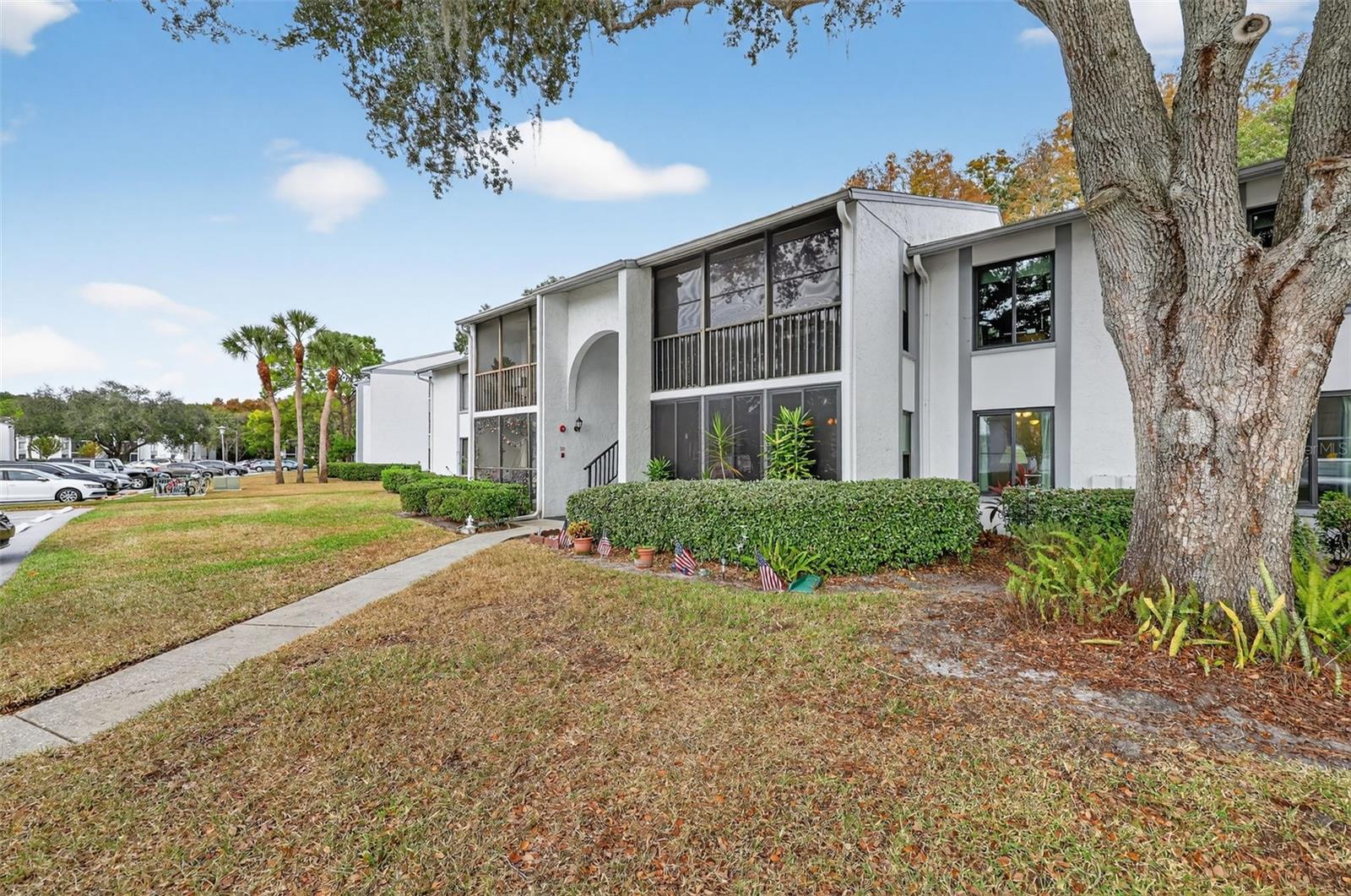 PINE RIDGE AT LAKE TARPON VILLAGE - Residential