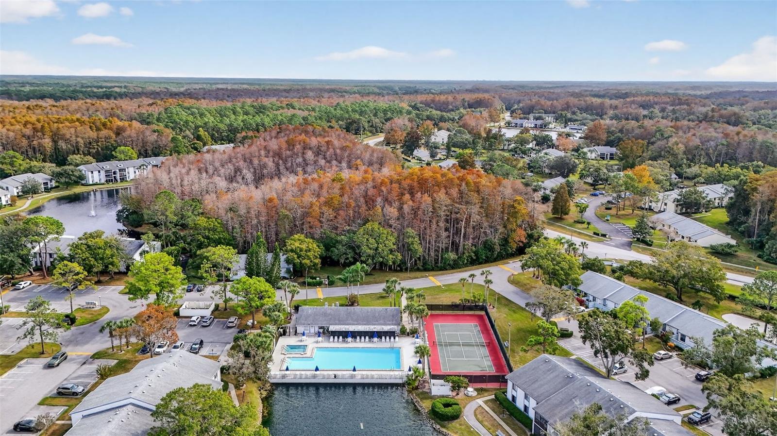 PINE RIDGE AT LAKE TARPON VILLAGE - Residential