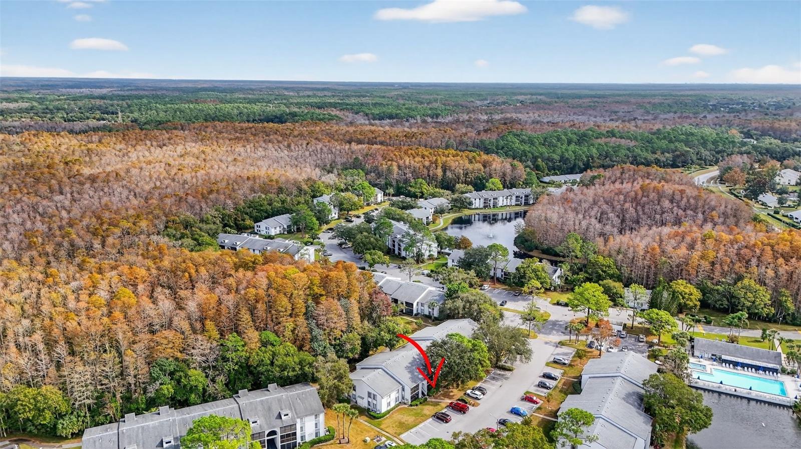 PINE RIDGE AT LAKE TARPON VILLAGE - Residential