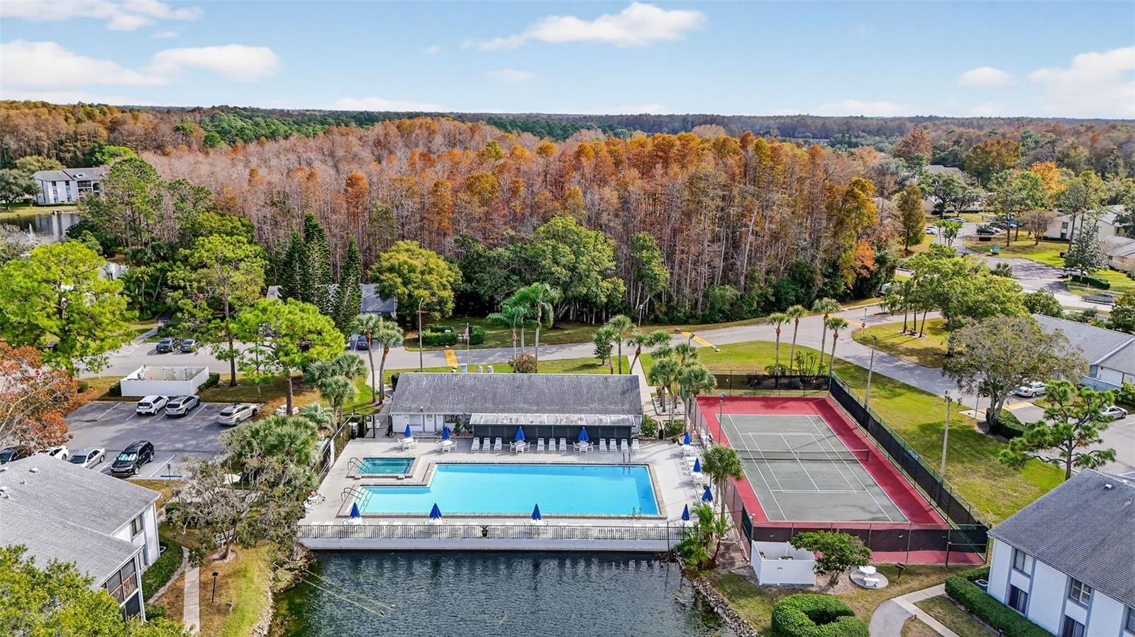 PINE RIDGE AT LAKE TARPON VILLAGE - Residential