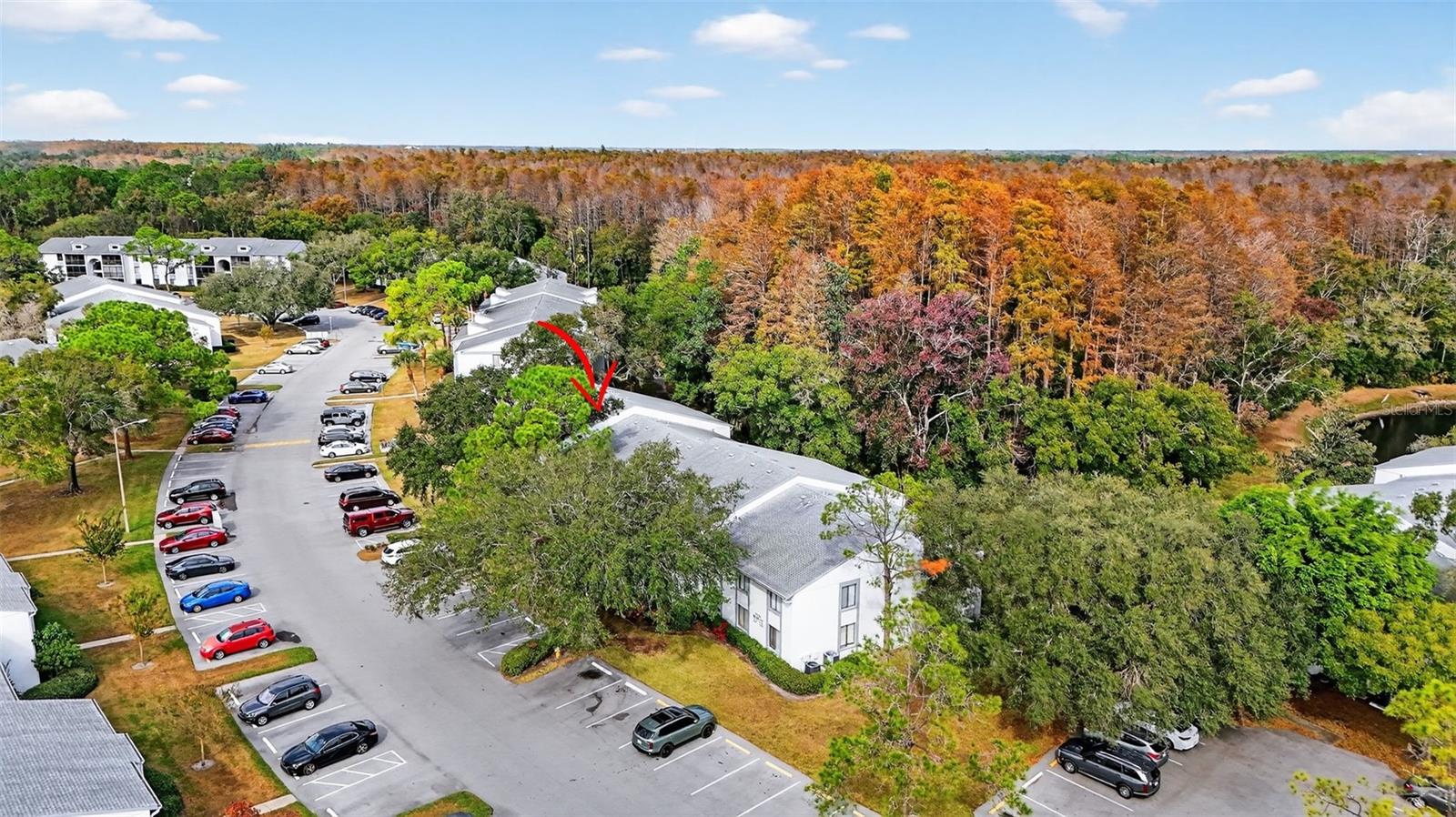 PINE RIDGE AT LAKE TARPON VILLAGE - Residential