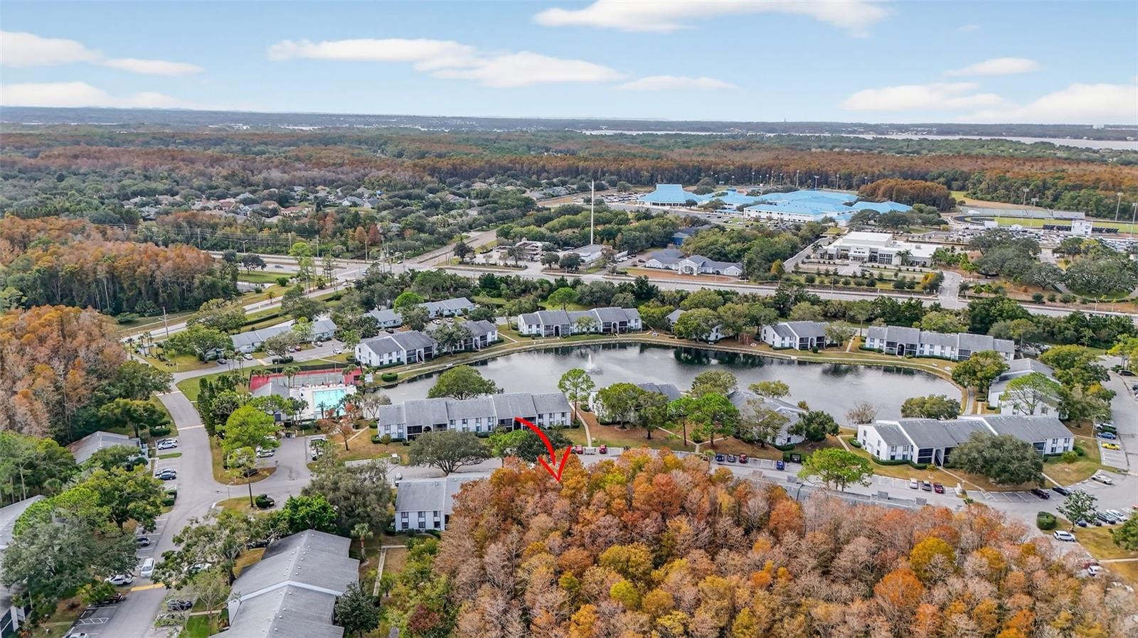 PINE RIDGE AT LAKE TARPON VILLAGE - Residential