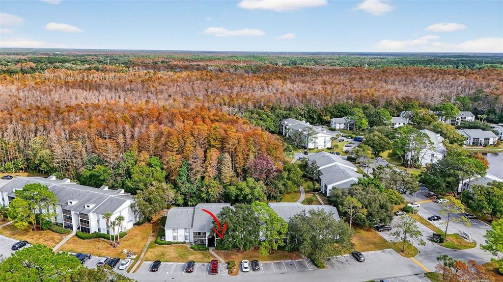 Photo of 1258 Pine Ridge Circle W #D1, Tarpon Springs, FL 34688 (MLS # TB8451321)