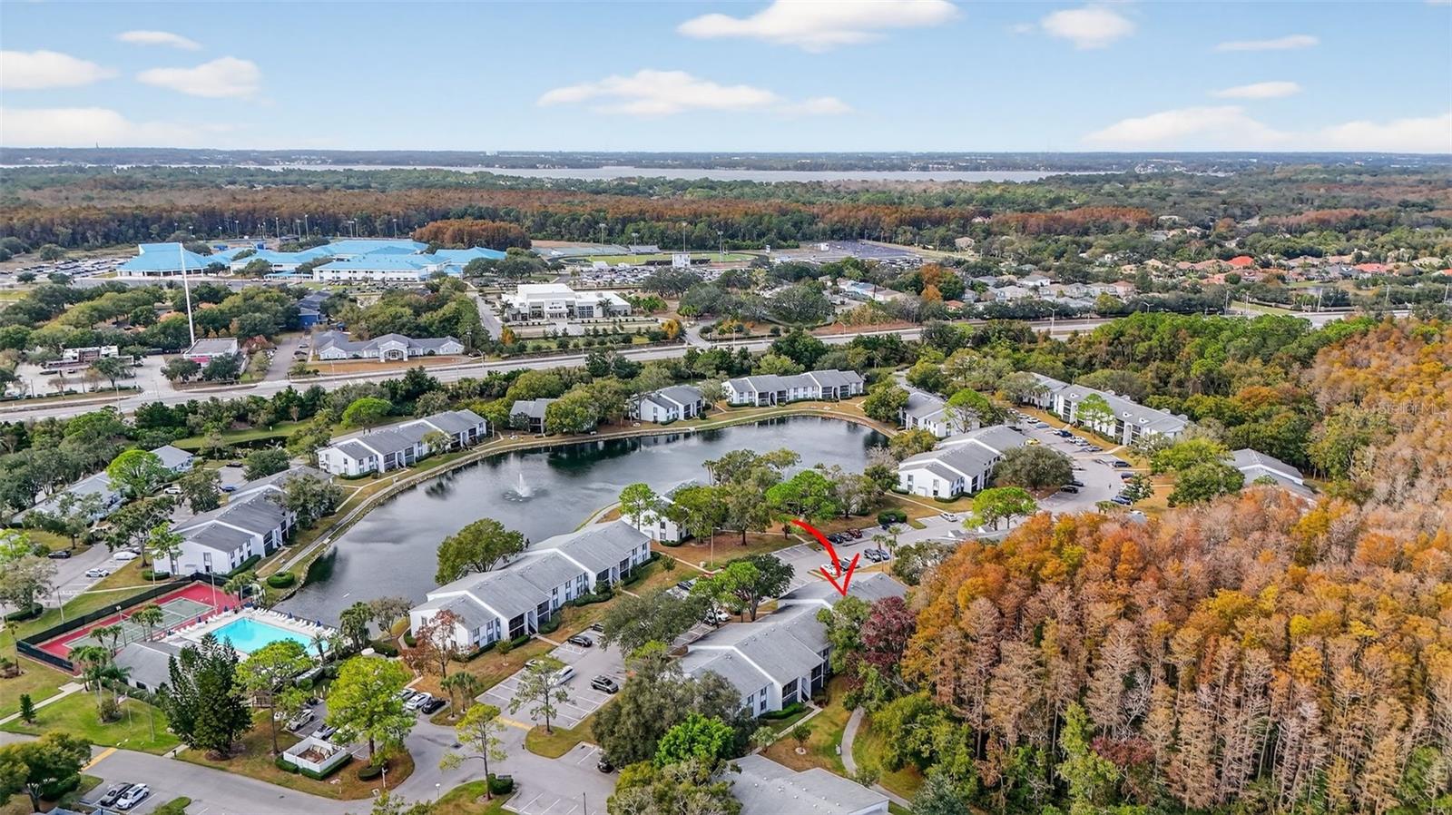 PINE RIDGE AT LAKE TARPON VILLAGE - Residential