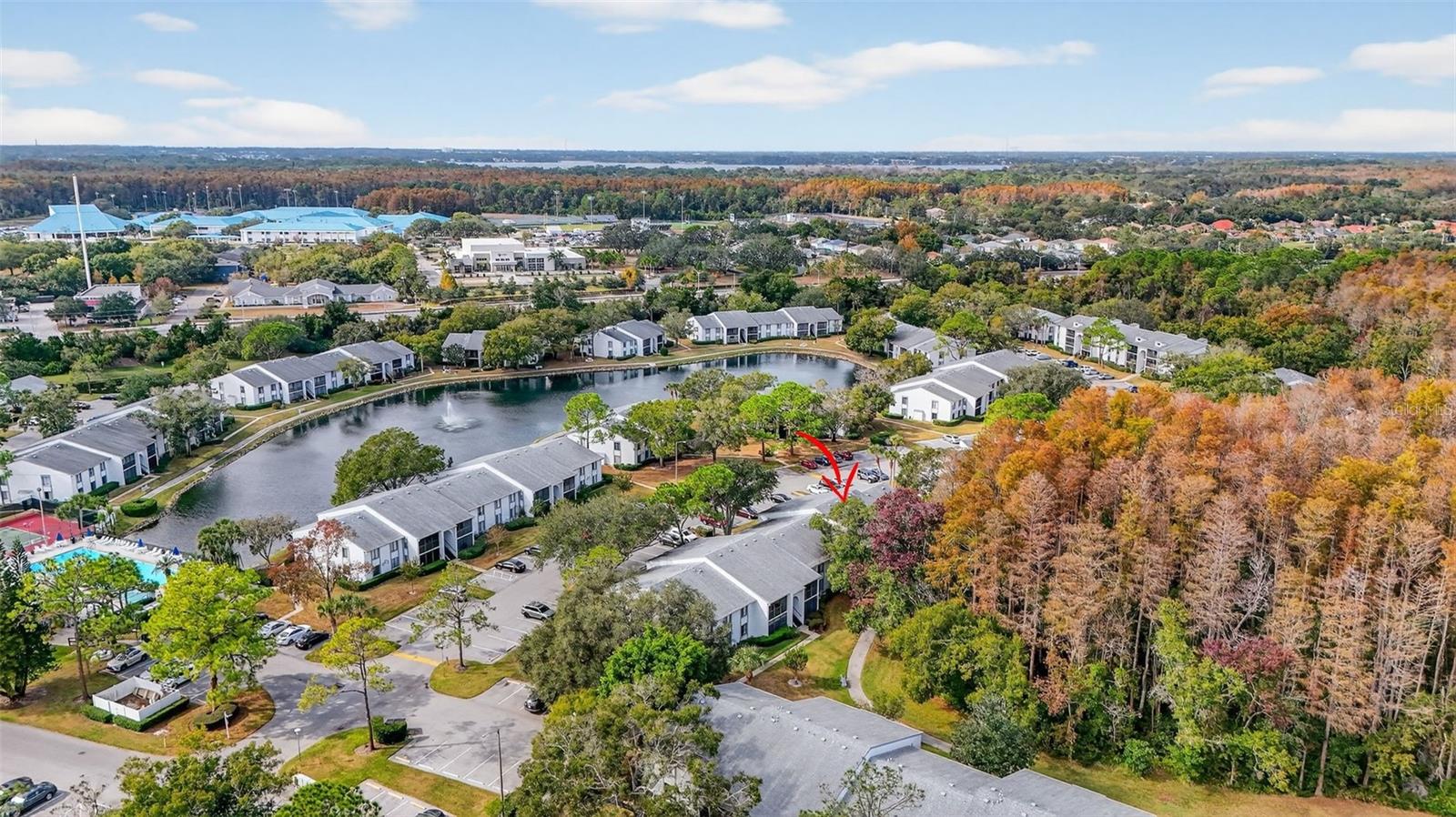 PINE RIDGE AT LAKE TARPON VILLAGE - Residential