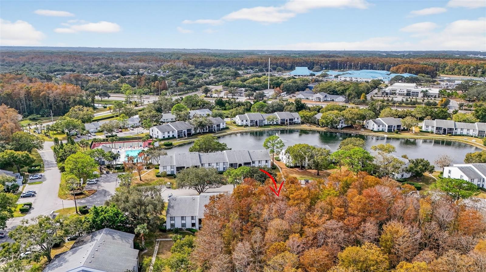 PINE RIDGE AT LAKE TARPON VILLAGE - Residential