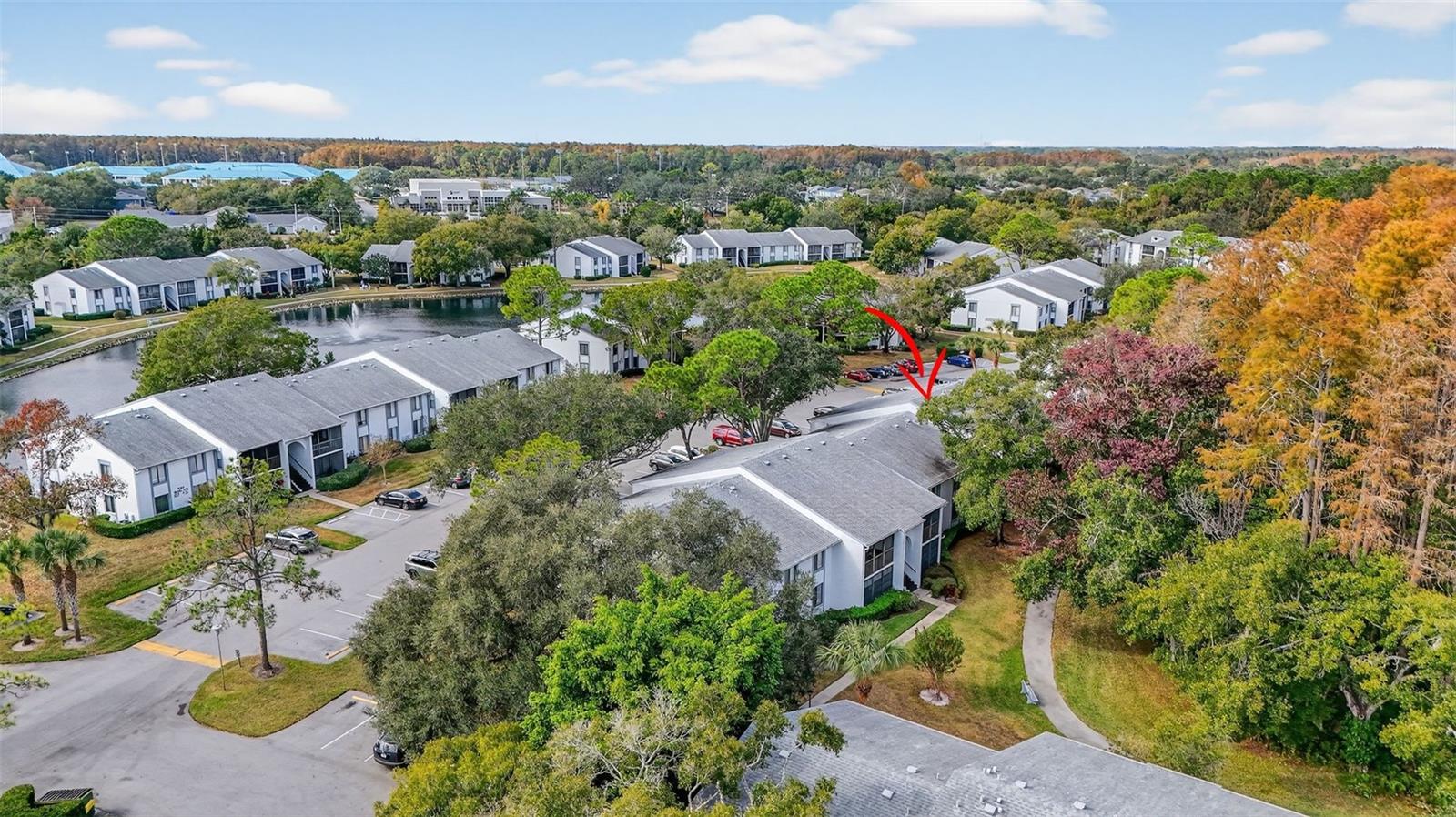 PINE RIDGE AT LAKE TARPON VILLAGE - Residential