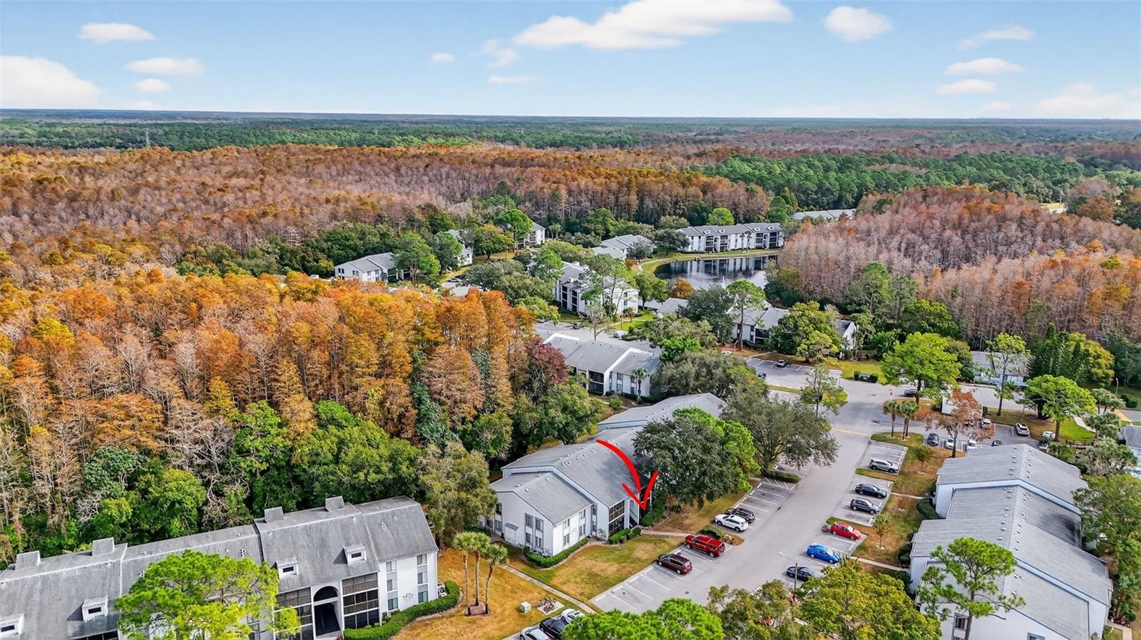 PINE RIDGE AT LAKE TARPON VILLAGE - Residential