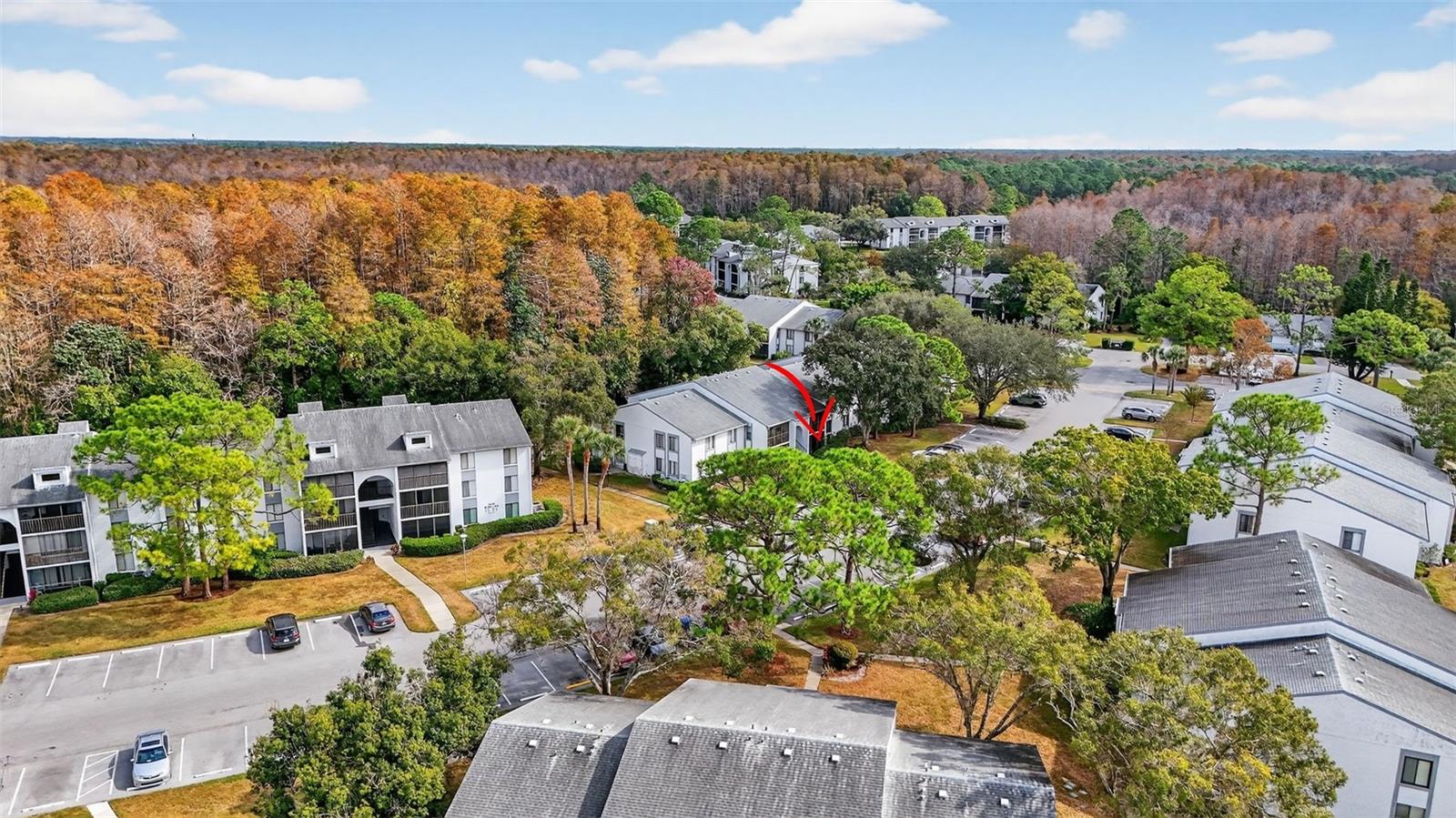 PINE RIDGE AT LAKE TARPON VILLAGE - Residential