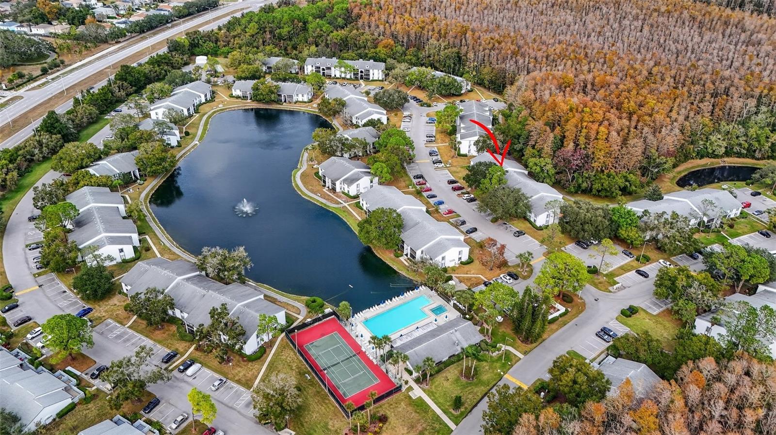 PINE RIDGE AT LAKE TARPON VILLAGE - Residential