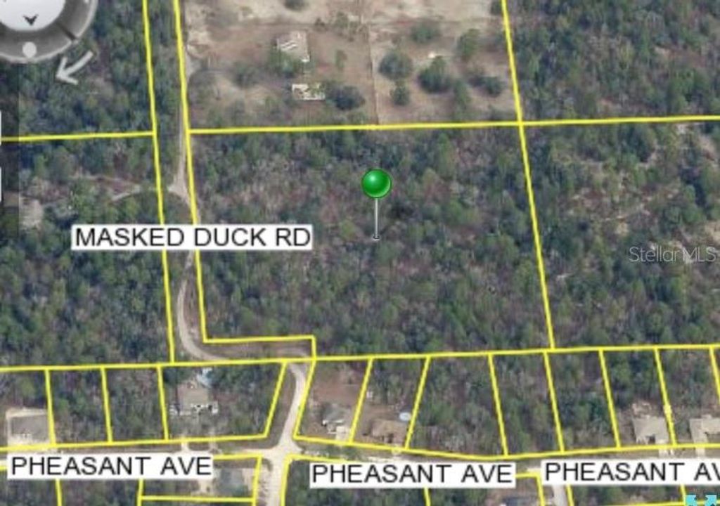Photo of Masked Duck Road, Brooksville, FL 34614 (MLS # TB8416627)