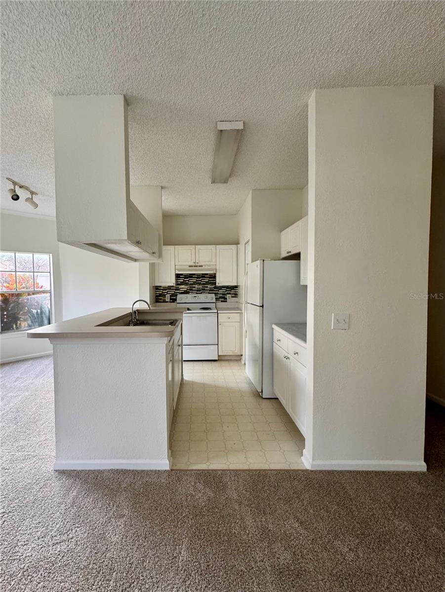 ARBOR LAKES A CONDO - Residential