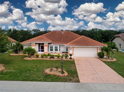 Photo of 2039 Berry Roberts Drive, Sun City Center, FL 33573 (MLS # TB8420719)
