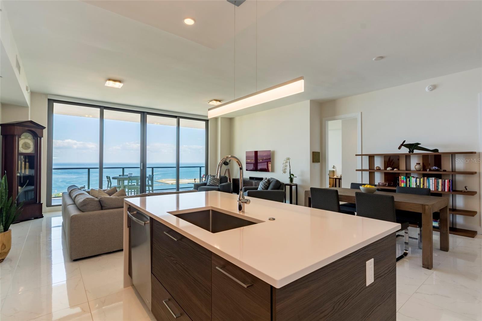 ONE ST PETERSBURG CONDO - Residential