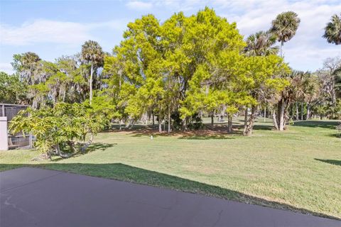 A home in PALM COAST