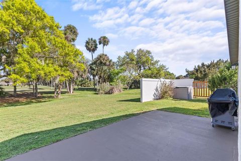 A home in PALM COAST