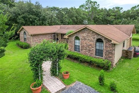 Tiny photo for 17444 East Road, Umatilla, FL 32784 (MLS # G5114274)